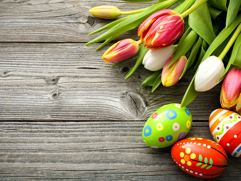 pasqua